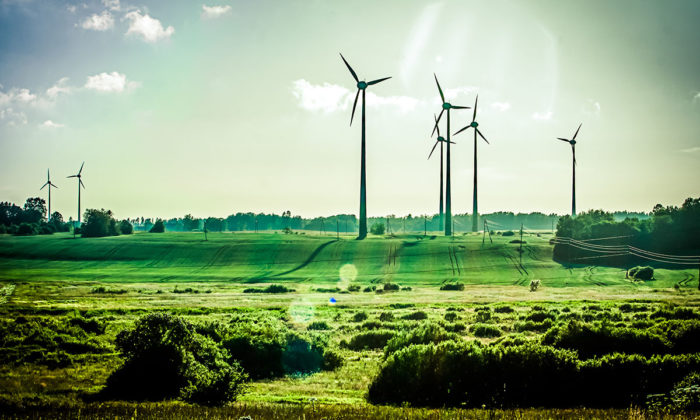 Vindkraftverk på ett soligt och grönt fält