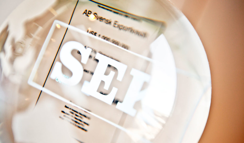 Bild på logotypen SEK med vit färg