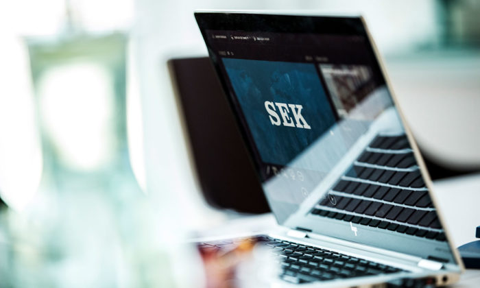 Bild på datorskärm som visar logotypen SEK