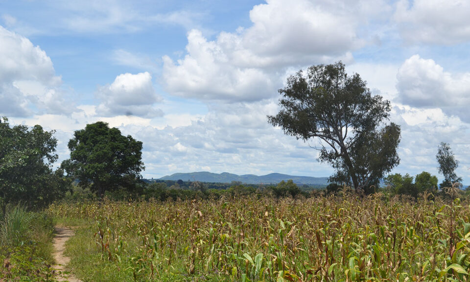Bild på utomhusmiljö i Angola